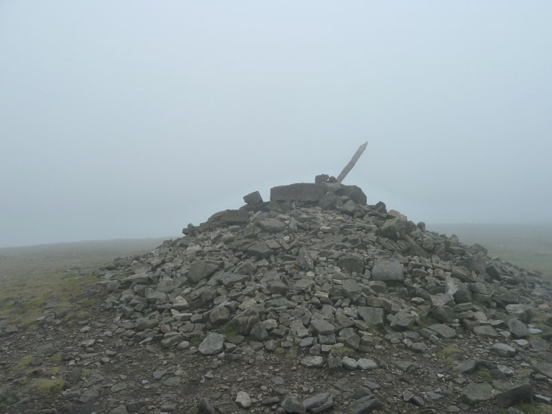 Paddys Pole